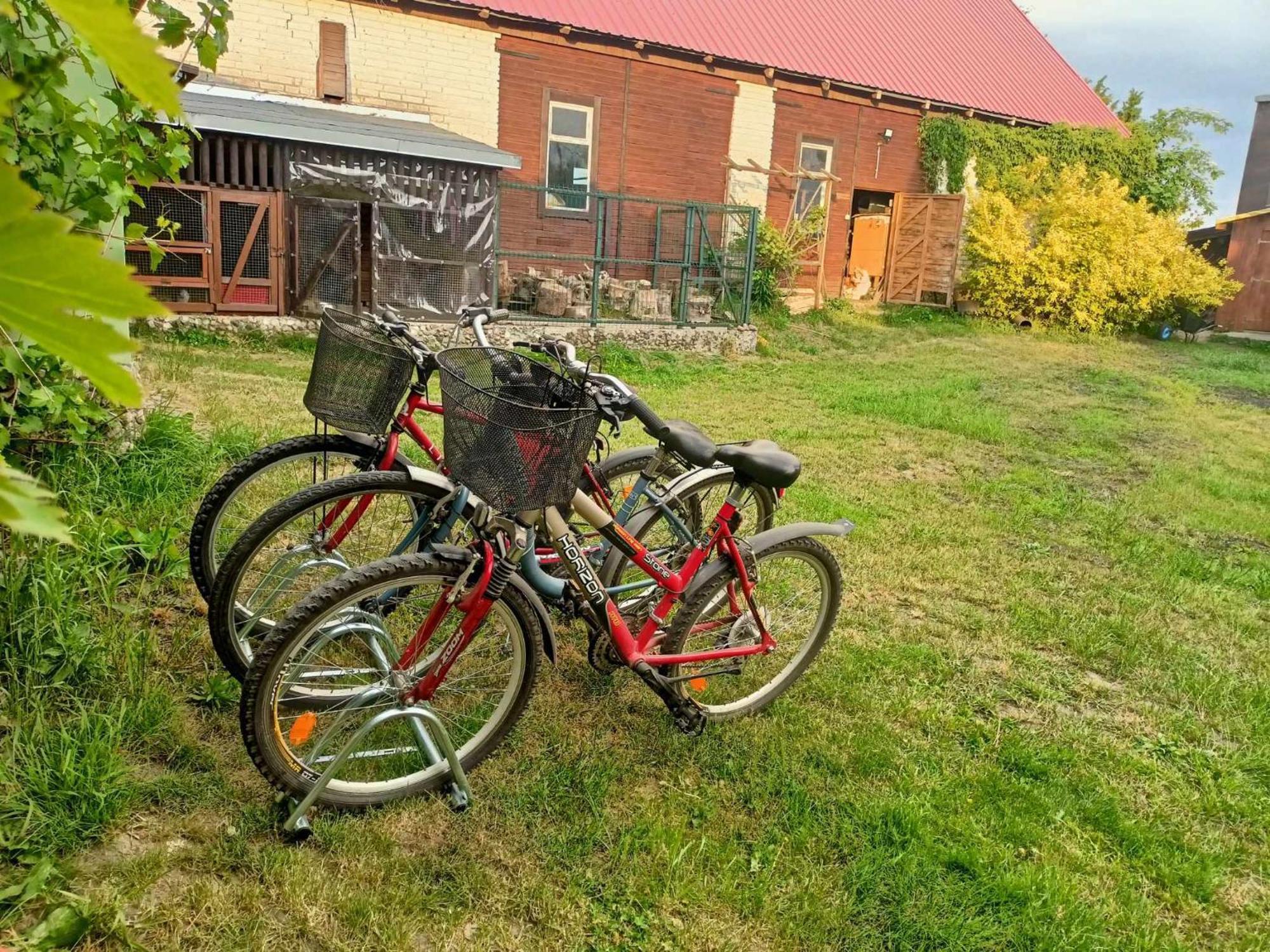 Malinowy Gaj - Agroturystyka Z Alpakami I Innymi Zwierzetami Swietajno  Exterior photo