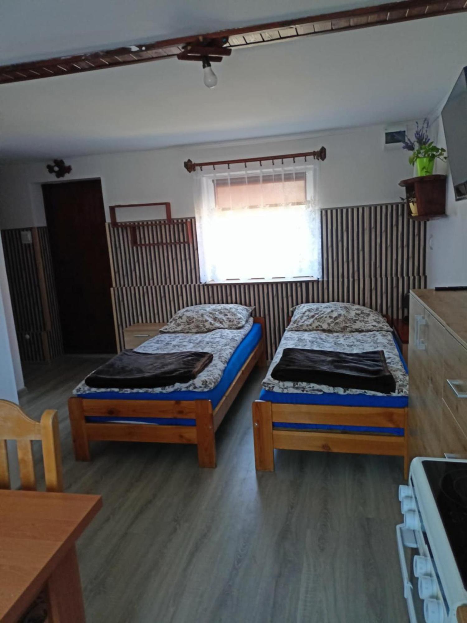 Malinowy Gaj - Agroturystyka Z Alpakami I Innymi Zwierzetami Swietajno  Exterior photo